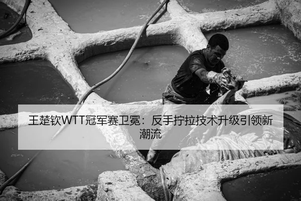 王楚钦WTT冠军赛卫冕：反手拧拉技术升级引领新潮流